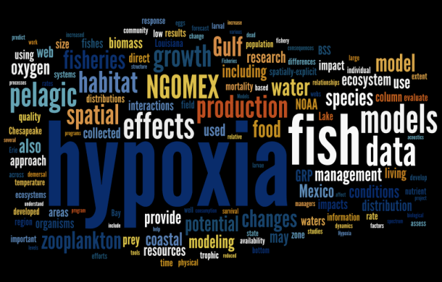 wordle.net based on the NGOMEX 2009 proposal