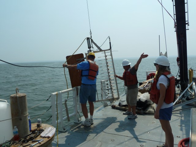 Syringe sampler deployment